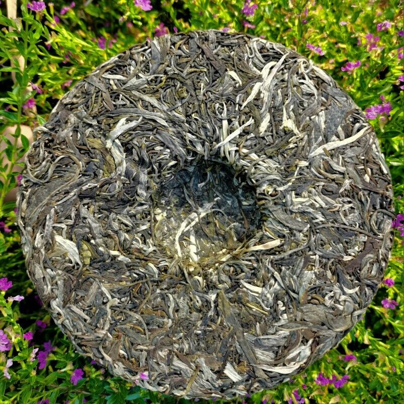 HelloYoung Health Care Natural Pu'er Tea Yiwuqingbing Organic Arbor Pu'er Tea 357g