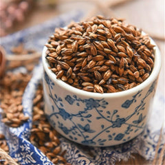 HelloYoung Roasted Barley Tea Caffeine-Free Tea Itoen Japanese Roasted Barley Tea Mugicha