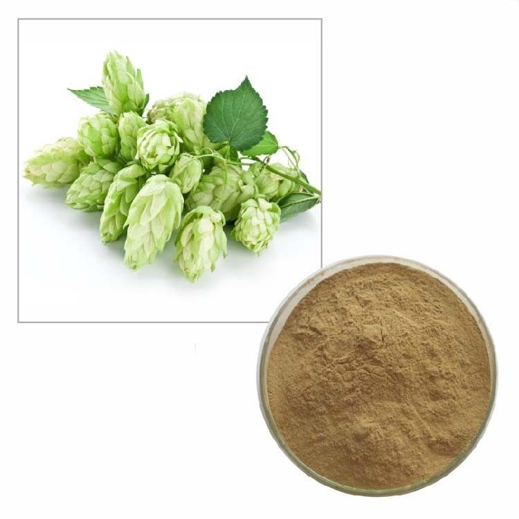 200g Organic Hops Strobile Extract Powder 10:1 | Humulus Lupulus Herb ...