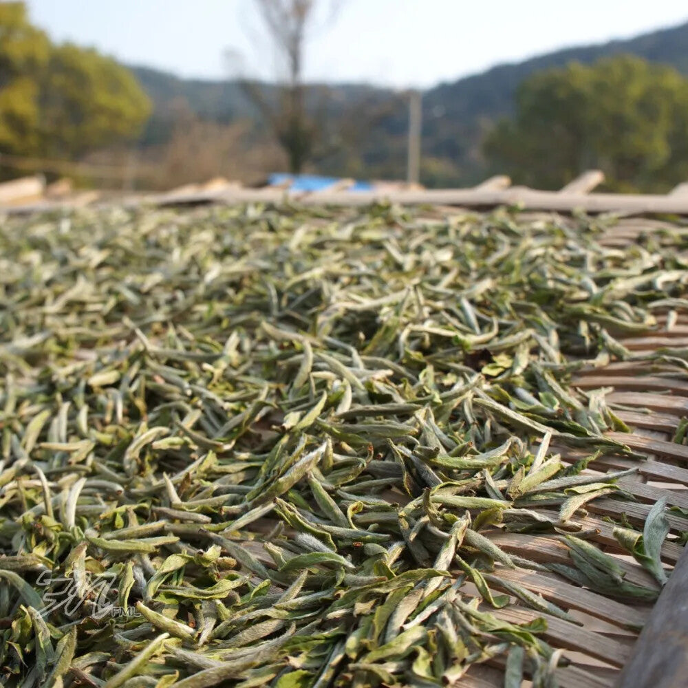 Promotion! Chinese Fujian Fuding Supreme silver needle white tea 500g 100g/bag