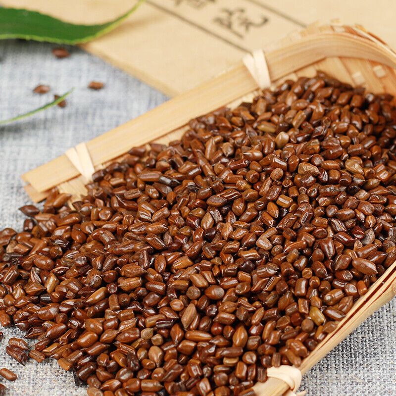 HelloYoung Natural Herbs Chinese Healthy Herbs Bulk Cha Cassia Seeds生决明子juemingzi 500g