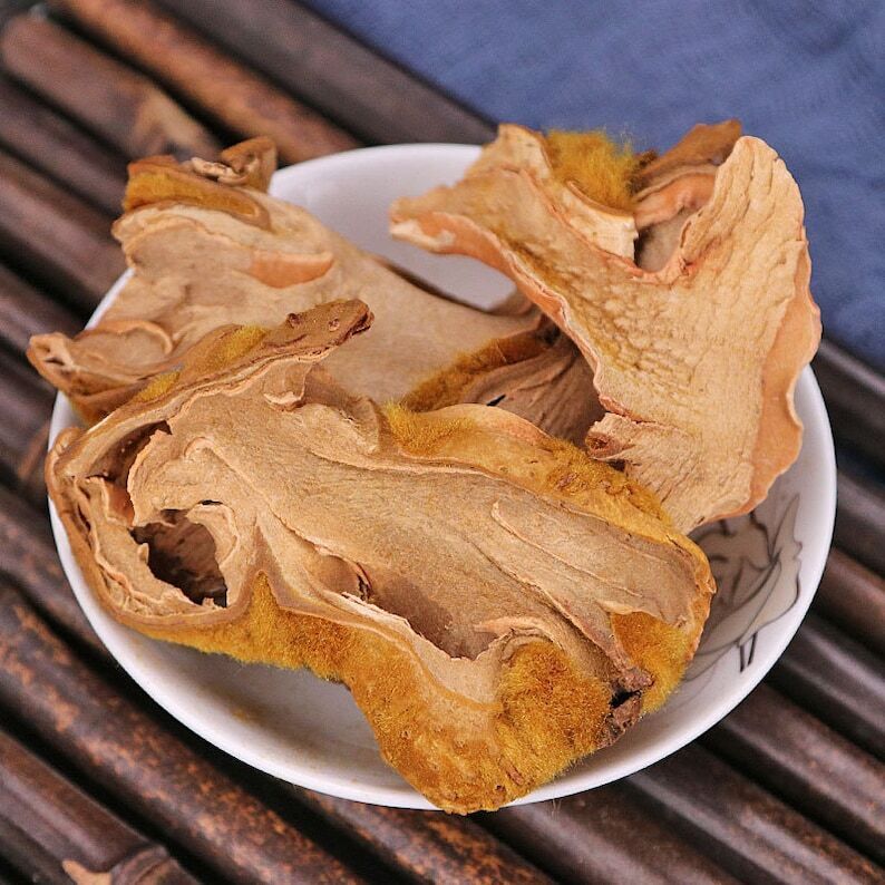 Recommend Rhizoma Cibotii, Cibotium Barometz, East Asian Tree Fern Rhizome