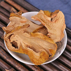Recommend Rhizoma Cibotii, Cibotium Barometz, East Asian Tree Fern Rhizome