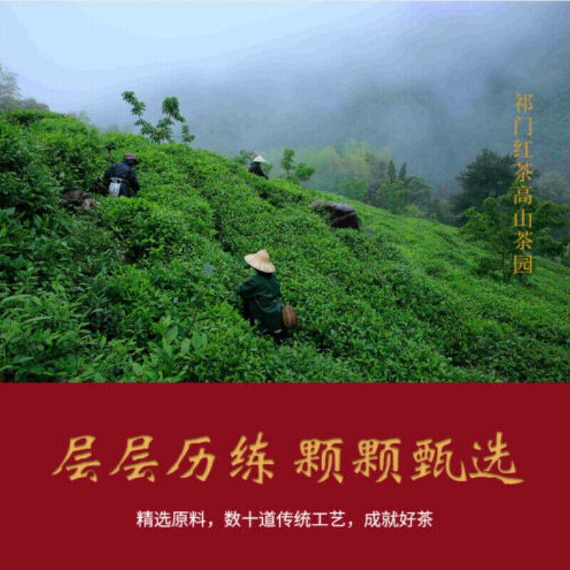 HelloYoung Premium Qimen Qi Men Gongfu Hong Cha 100g Chinese Anhui Keemun Black Tea