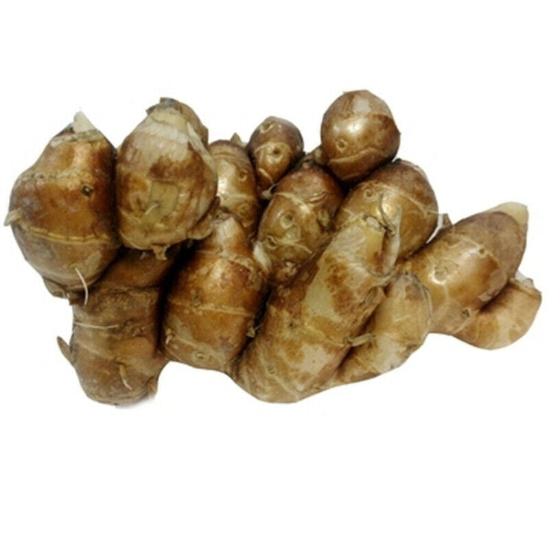 HelloYoung DRIED KAEMPFERIA GALANGA 100% Natural SLICED 250g沙姜