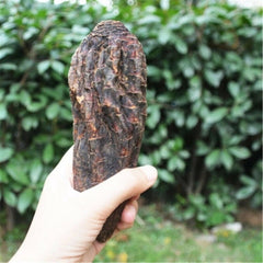 HelloYoung Rou Song Rong Sinkiang Wild Desertliving Cistanche Ecology Herb Tonic500g/1000g
