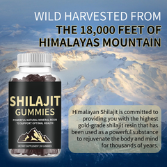 Immune Support Himalayan Shilajit Gummies Ashwagandha,Chaga Mushroom Healthy