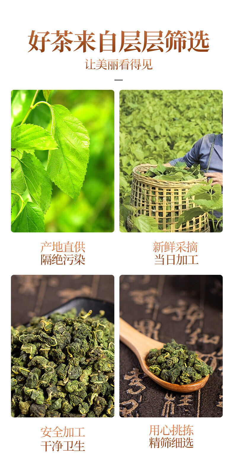 Mulberry Leaf Tea 250G Frosted Mulberry Leaf Tea Fresh Mulberry Leaf Granules
