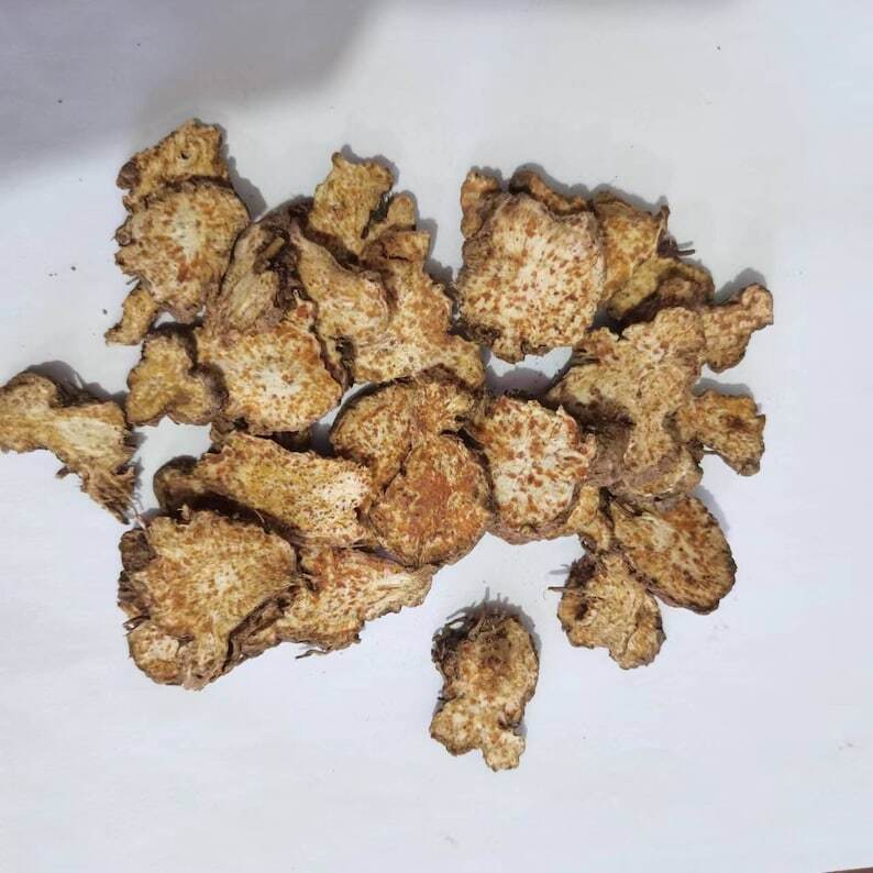 Wild Atractylodis Rhizoma, Rhizoma Atractylodis, Atractylodes Rhizome, Cang Zhu
