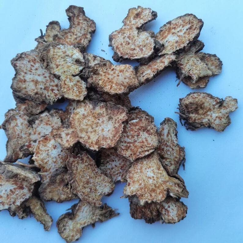 Wild Atractylodis Rhizoma, Rhizoma Atractylodis, Atractylodes Rhizome, Cang Zhu