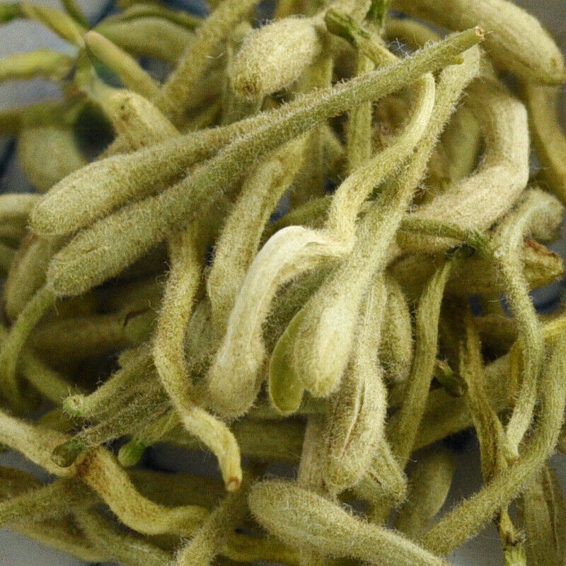 HelloYoung Organic Honeysuckle - Loose Buds Tea Natural Jin Yin Hua Ecology Loose Leaf Tea