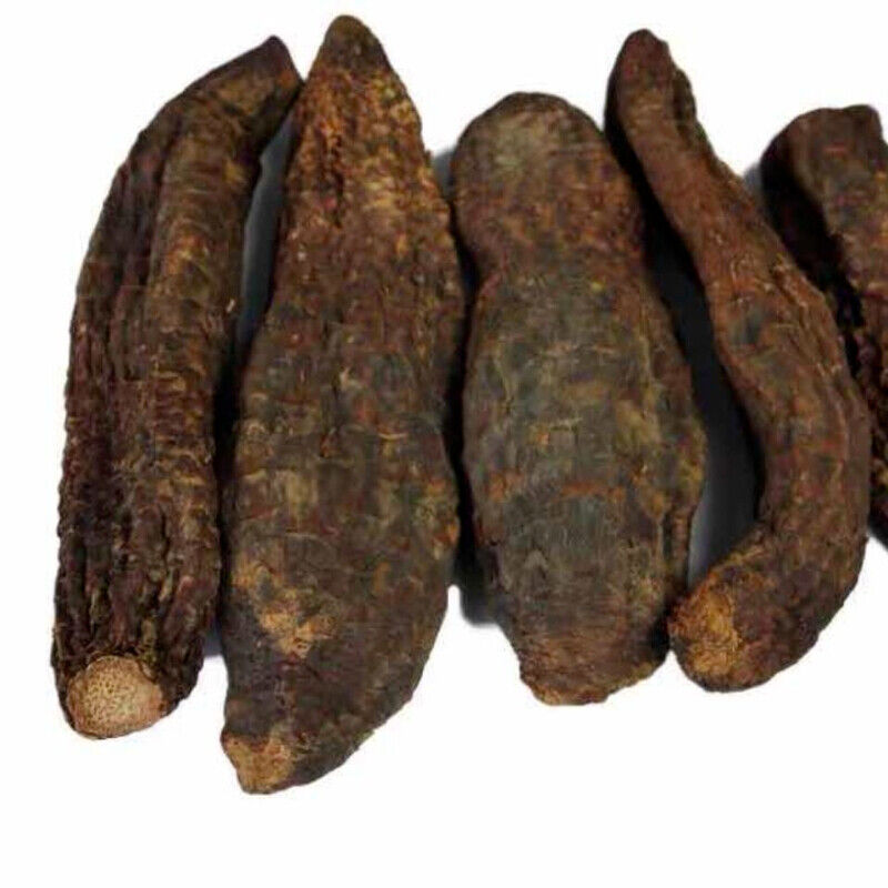 HelloYoung Rou Song Rong Sinkiang Wild Desertliving Cistanche Ecology Herb Tonic500g/1000g