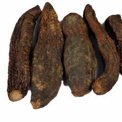 HelloYoung Rou Song Rong Sinkiang Wild Desertliving Cistanche Ecology Herb Tonic500g/1000g