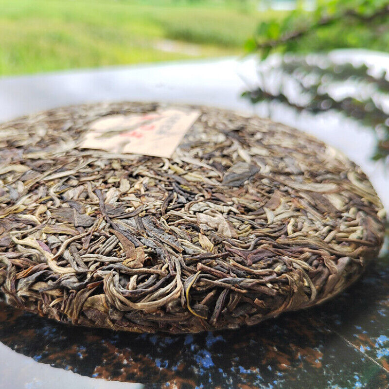HelloYoung Organic Pu'er Spring Tea Zhonghongying KunLu Mountain Tea Ancient Tree Tea 357g