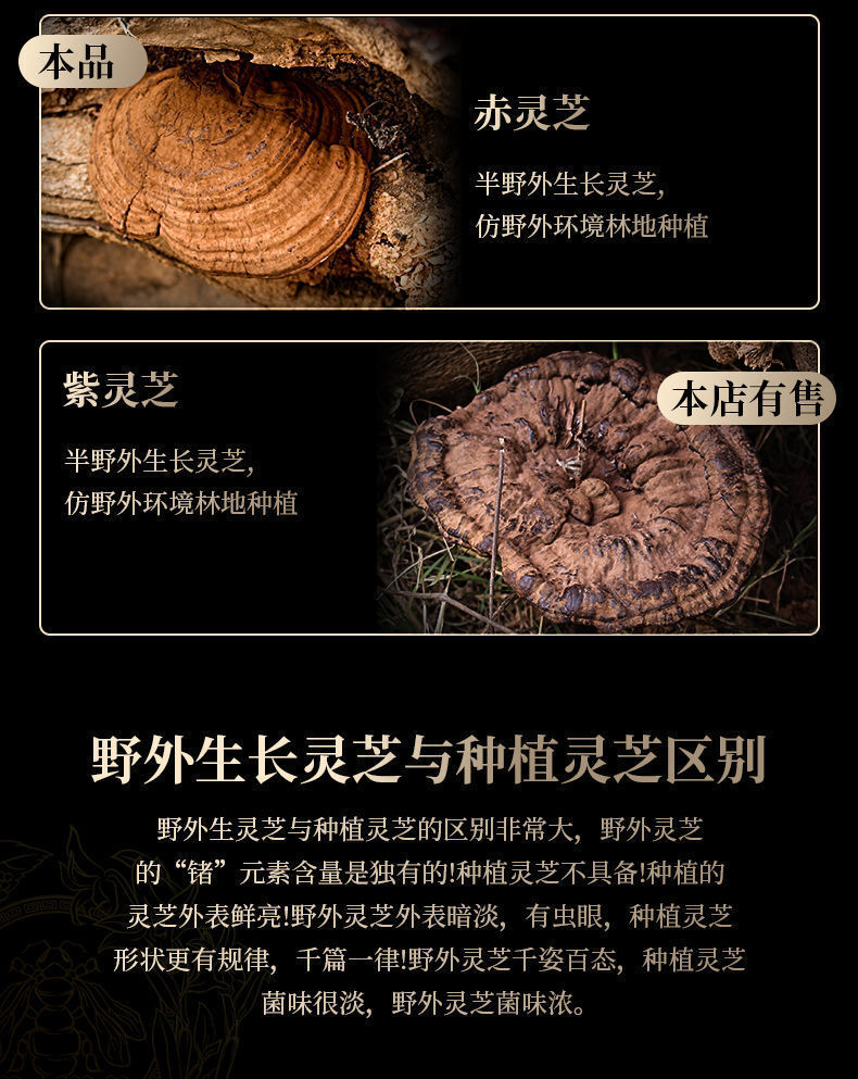 HelloYoung Ganoderma lucidum tablets in tea and soup Changbaishan wildlife infusion tea