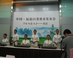 HelloYoungPromotion! 310g White Tea, Organic Baimudan tea, Fuding White Peony