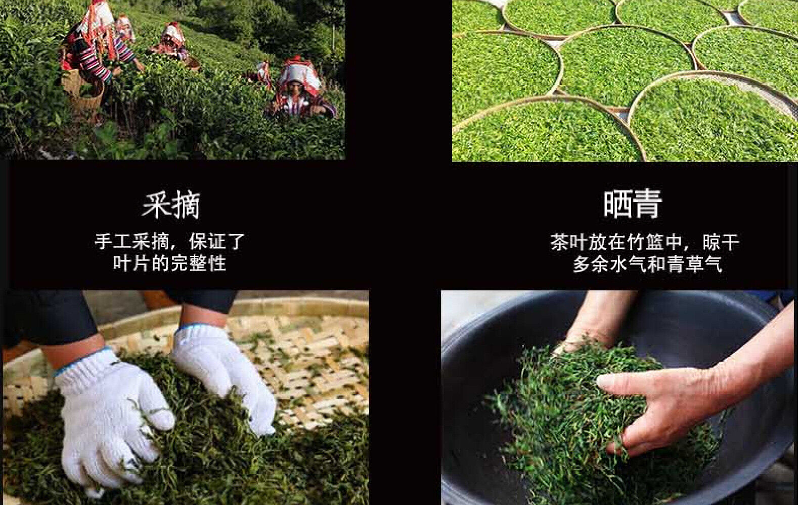 HelloYoung Yunnan Tea Nannoushan Head Spring Ancient Tree Pu'er Raw Tea 357g Cake Tea