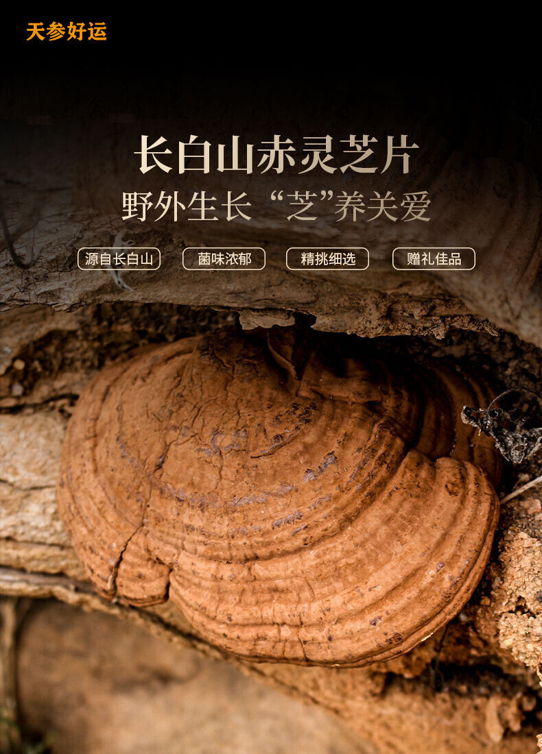HelloYoung Ganoderma lucidum tablets in tea and soup Changbaishan wildlife infusion tea