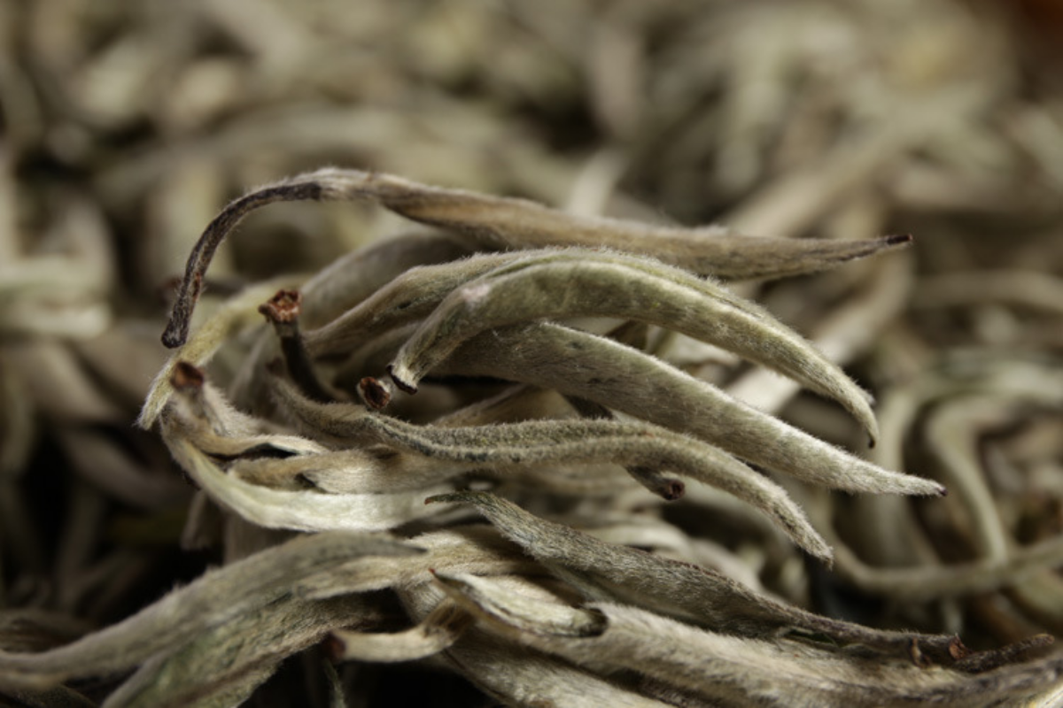 HelloYoung Pu'er raw tea white hair silver needle white hair single bud moonlight white tea