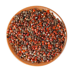 HelloYoung Chinese Specialty Zhijuzi Chinese Organic Herbs High Quality 250g/500g 枳椇子