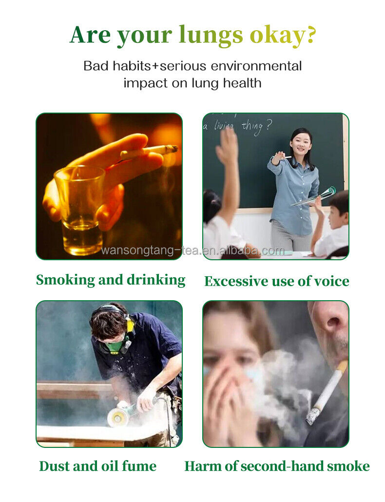 Lung Smokers Tea Lung Cleanse Smokers Tea Respiratory Wellness Herbal Tea 60g