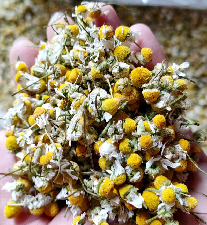 HelloYoung Chamomile new chamomile dried flowers chamomile petals froth flowers crushed
