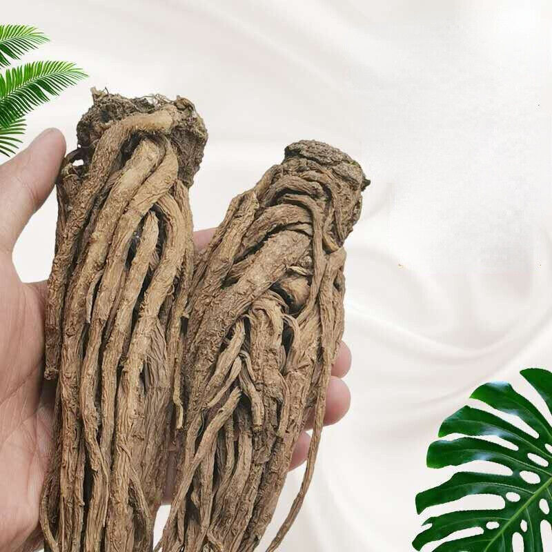 Organic Angelica Whole Root Herbal Tea Danggui 250g-500g Chinese Herbs Medicine