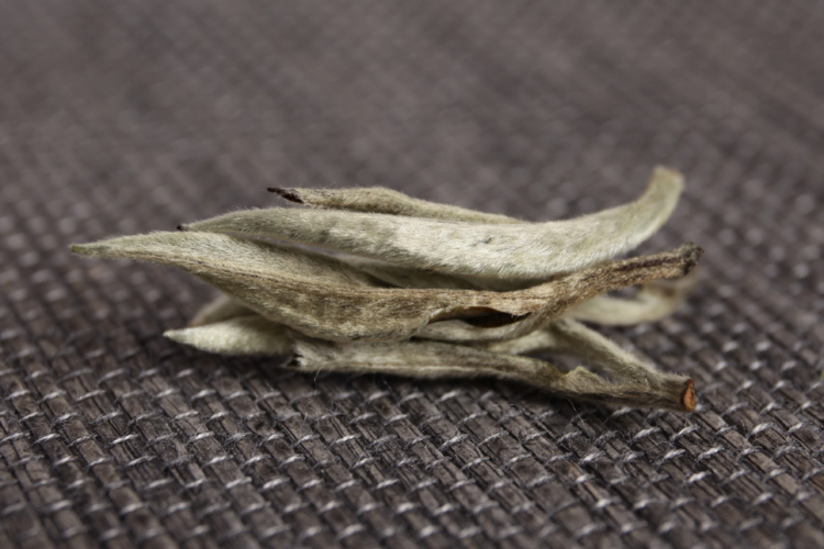 HelloYoung Pu'er raw tea white hair silver needle white hair single bud moonlight white tea