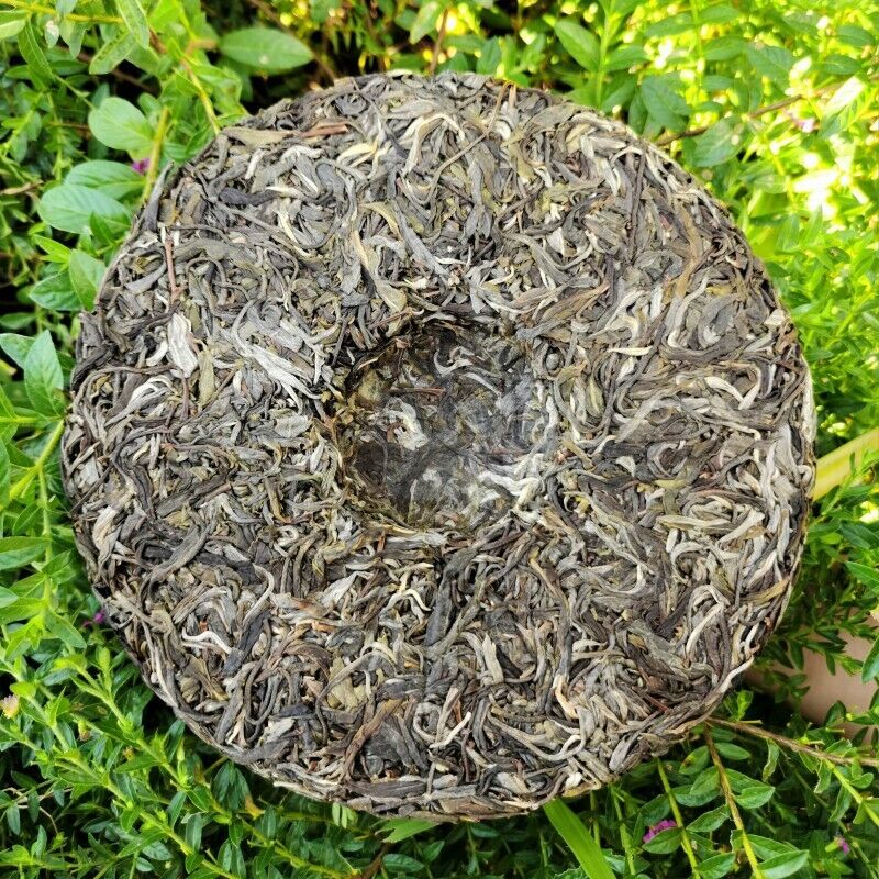 HelloYoung Jingmai Ancient Tree Pu'er Tea Gift Tea Spring Tea Pu'er Tea Cake 357g