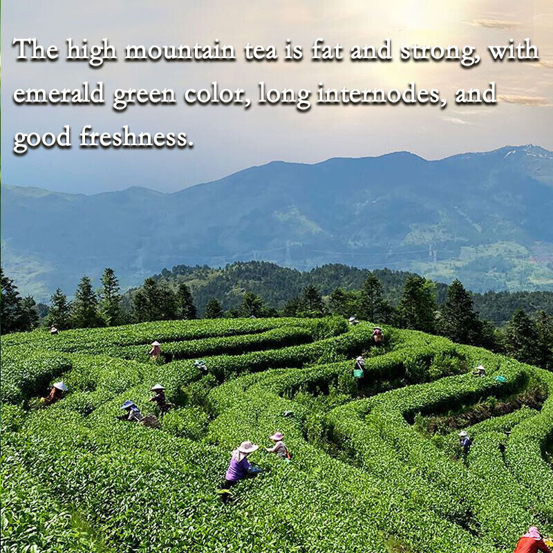 Taiwan Milky Oolong 250g Loose Leaf Tea