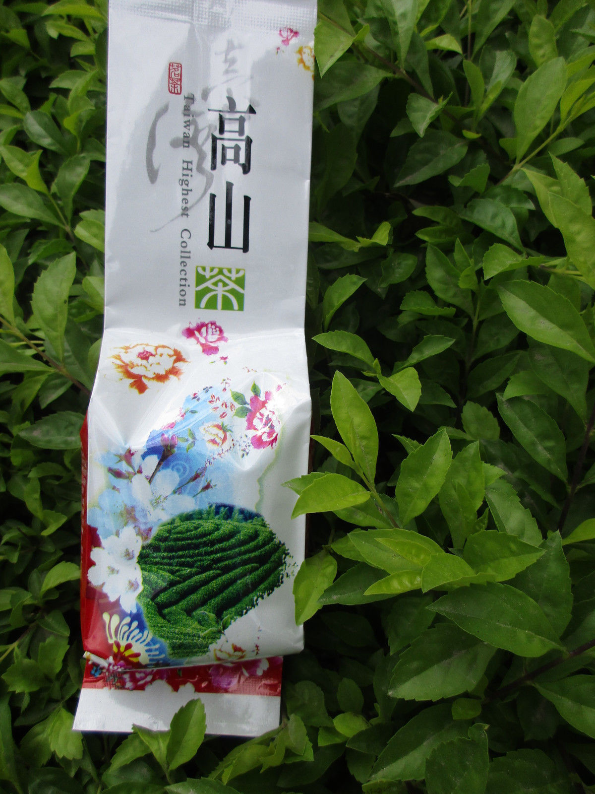 HelloYoung125g Milk Oolong Tea Taiwan Jin xuan Tea Milk Tea Green Tea New Tea Tieguanyin
