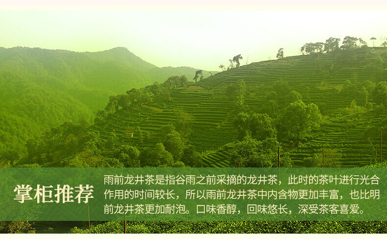 West Lake AuthenticLongjing Tea with Strong Fragrance Single Can 50g