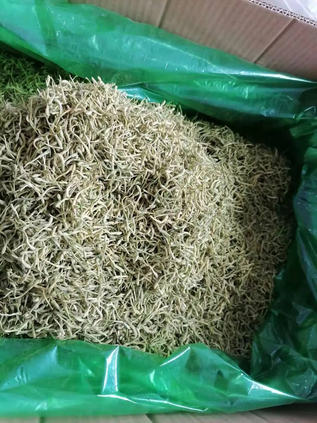 Raw Dried HONEYSUCKLE TEA FLOWERS for Blooming Tea 250g