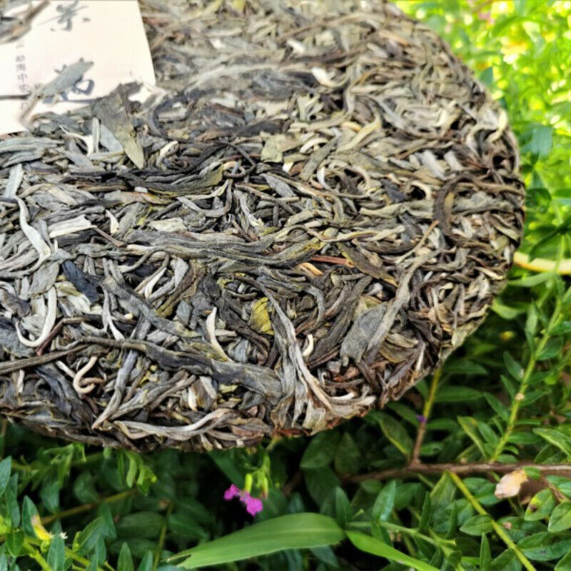 HelloYoung Jingmai Ancient Tree Pu'er Tea Gift Tea Spring Tea Pu'er Tea Cake 357g