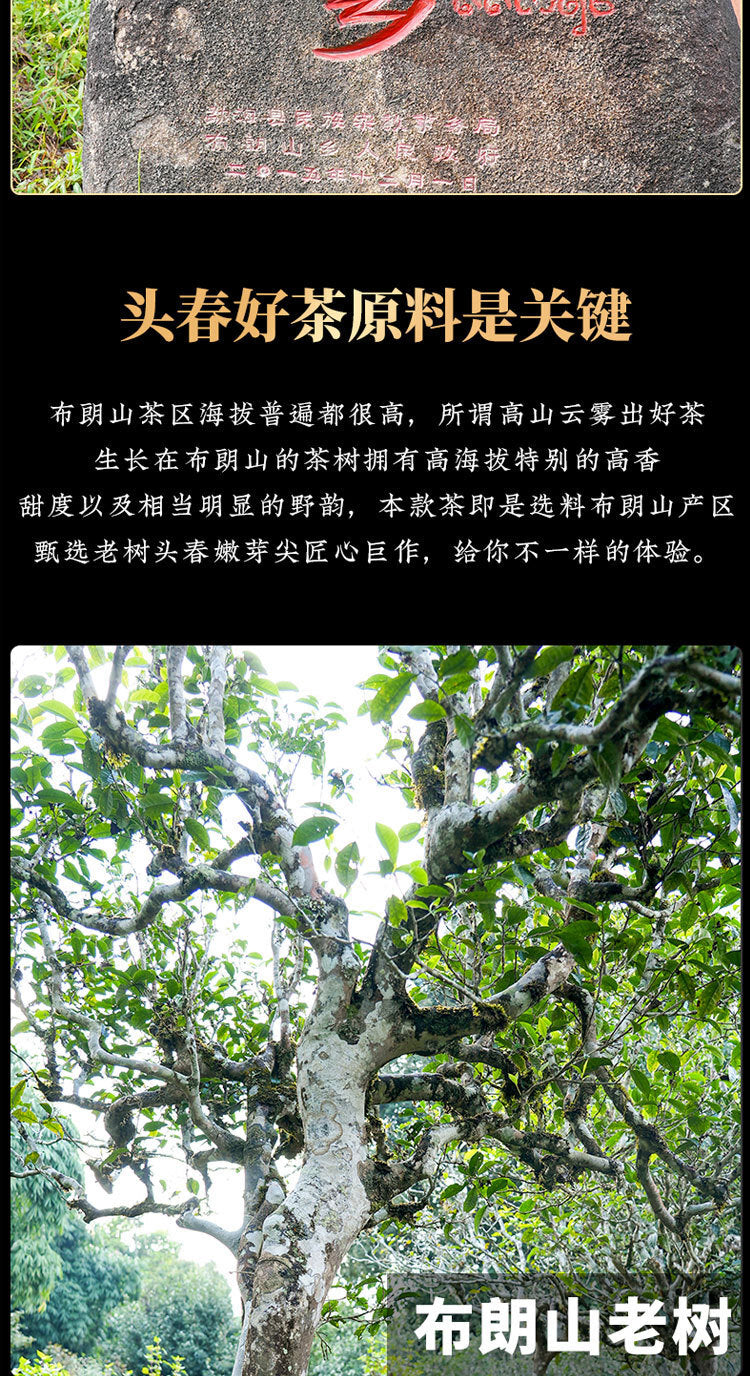 357g Yunnan Collection Pu'er Tea Brown Old Tree Ripe Tea Cake Tea Cake