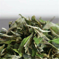 HelloYoung Organic Premium Bai Mu Dan White Poney White Tea Loose Leaf Green Tea Flower Tea