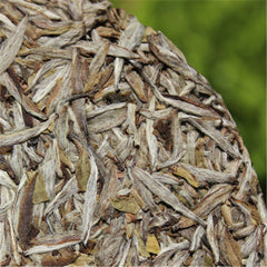 HelloYoung300g Old Fuding white tea cake natural organic Chinese white tea silver needle