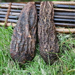 HelloYoung Rou Song Rong Sinkiang Wild Desertliving Cistanche Ecology Herb Tonic500g/1000g