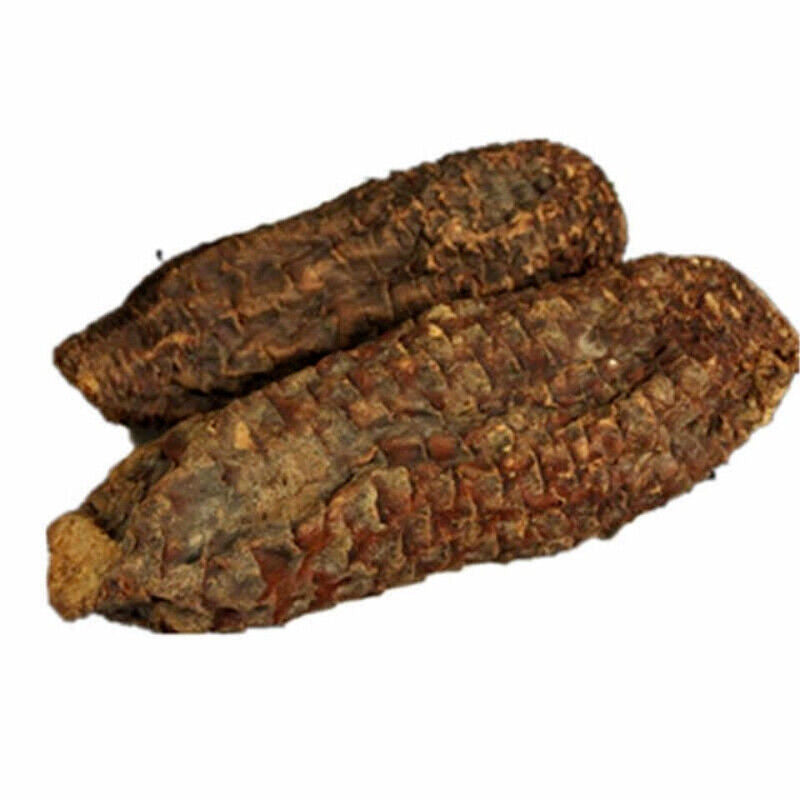 HelloYoung Rou Song Rong Sinkiang Wild Desertliving Cistanche Ecology Herb Tonic500g/1000g