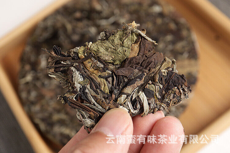 HelloYoung 357g Yunnan White Tea Jujube Aroma Medicine Aroma Old Tree White Tea