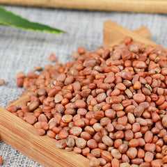 HelloYoung Luobizi Radish Seeds Healthy Tea Natural Organic Healthy Herbal Tea  萝卜子 500g