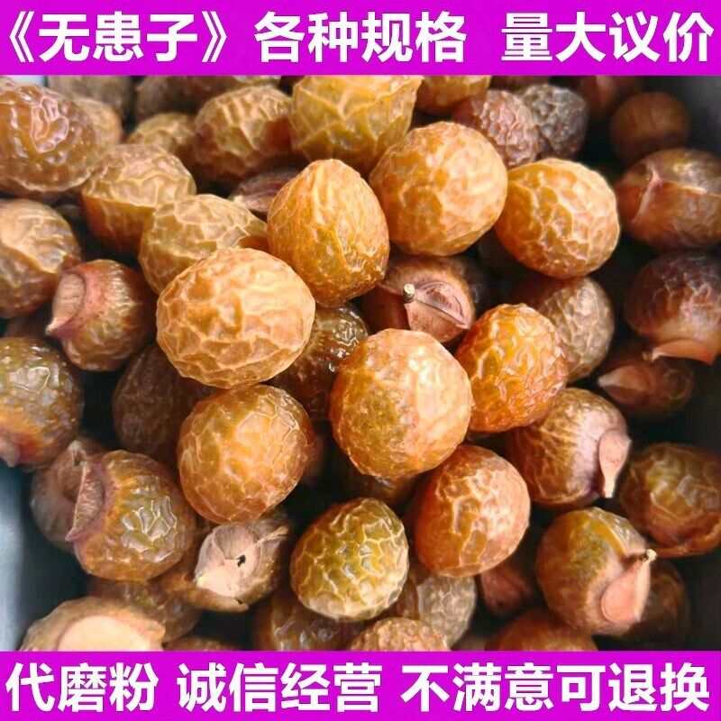 Sapindus indica pericarp herb Sapindus indica pericarp Sapindus indica500g/1.1lb