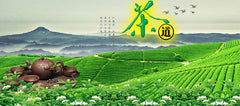 HelloYoung250g cooked Black tea Yunnan aged Pu-erh tea in a special 7581 brick Puerh tea