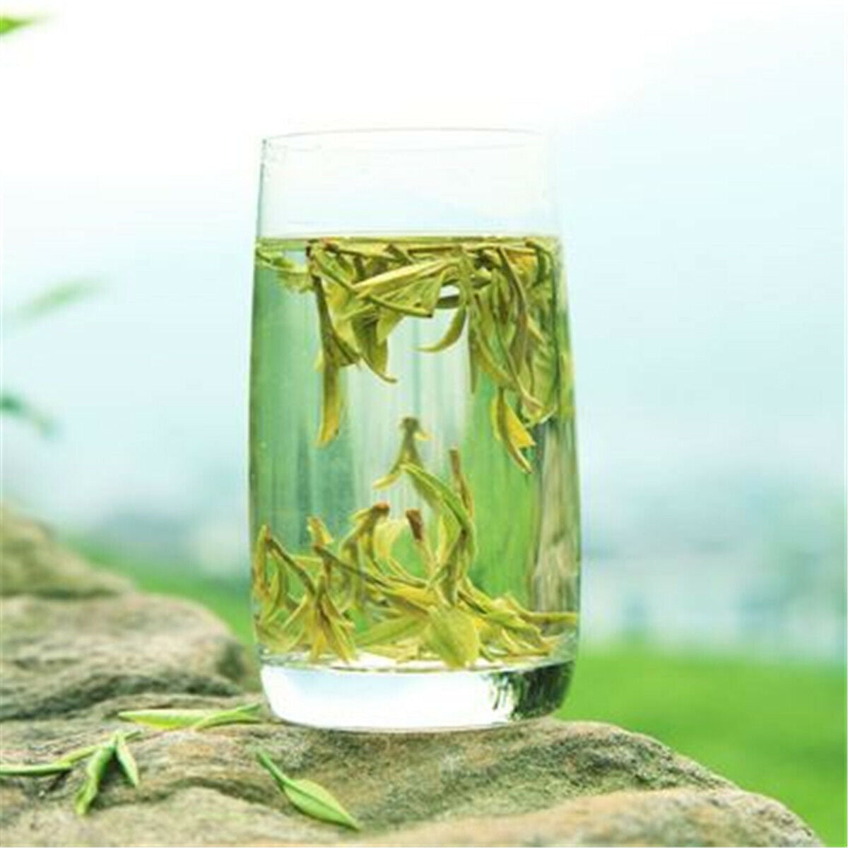 HelloYoung New Tea Mountain Rain Before Authentic West Lake Longjing Tea Green Tea 500g