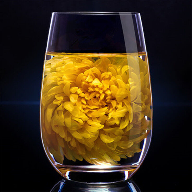 HelloYoung A Large Cup of Natural Herbal Tea In Summer Gold Huang Ju 4 Pieces Chrysanthemum