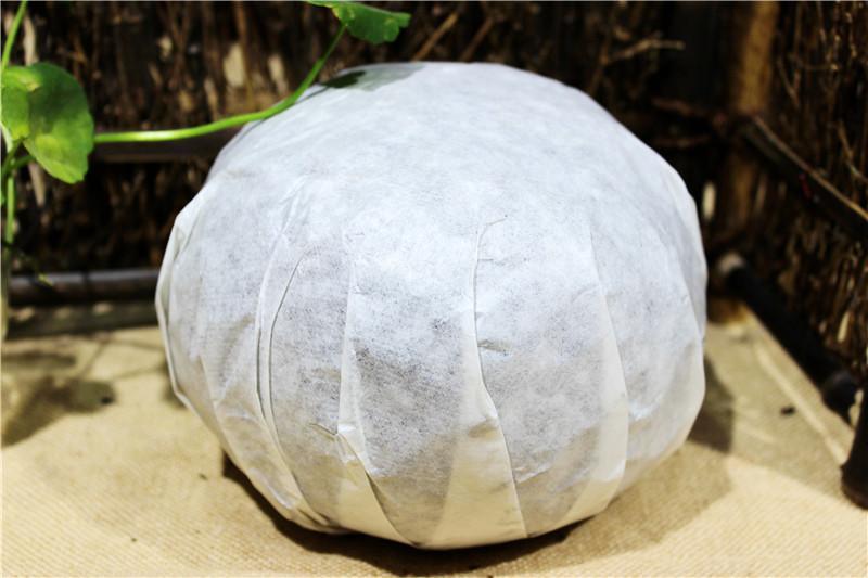 HelloYoung Cha Puerh Tuo Cha Pu Erh Tea Food Yunnan Pu-erh Tea Gold Melon Tribute Tea 1000g