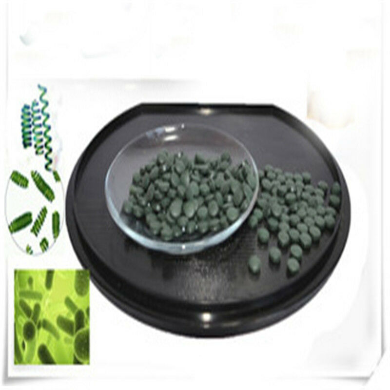 HelloYoung Enhance-immune green natural Spirulina Tea Tablet 1000 pills high Quality tea