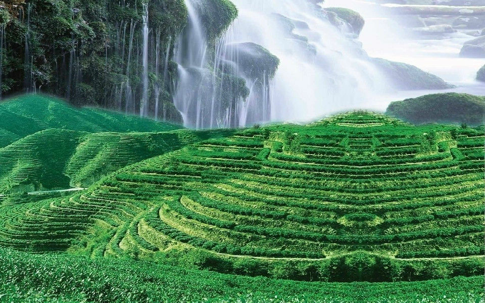 100g Yunnan cha Puer Tea Pu-erh Tea Puer Tuo Cha cha Green Tea Food Health Care
