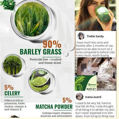 1/2/3 BOX 100% Pure & Organic 3g*20PCS Navitas Barley Grass Powder