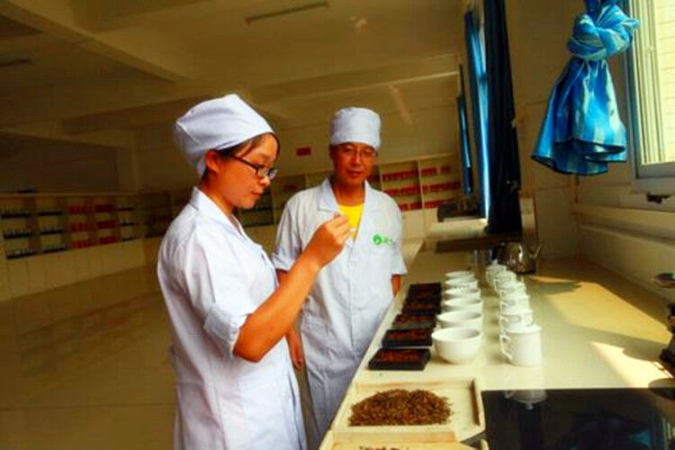 HelloYoung Tikuanyin Anxi Tie Guan Yin Green Tea Factory Outlet Tieguanyin Oolong Top 50g